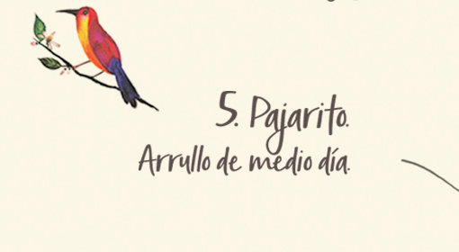 Imagen destacada maguaré