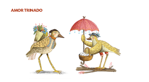 Imagen destacada maguaré