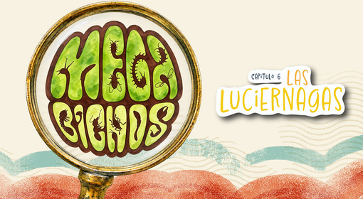 Imagen destacada maguaré